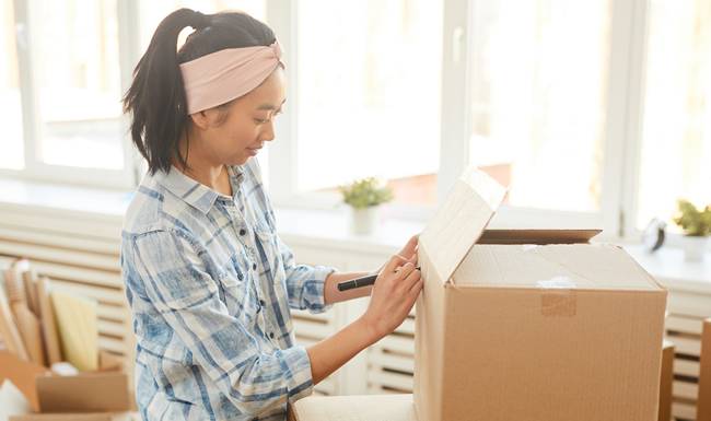 home removals devon